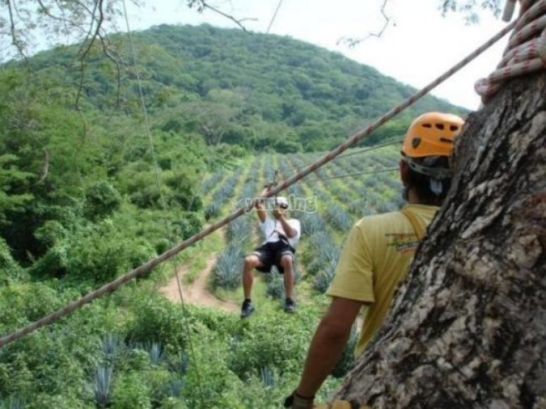 Practicar tirolina con los amigos /tb_tips tirolina4.jpg